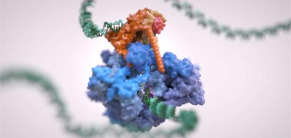 عکس های dna