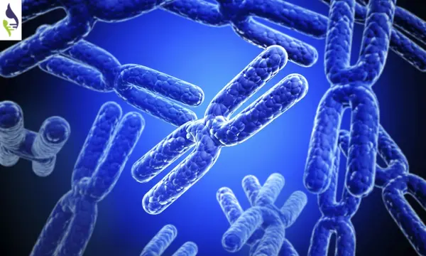 عکس های dna