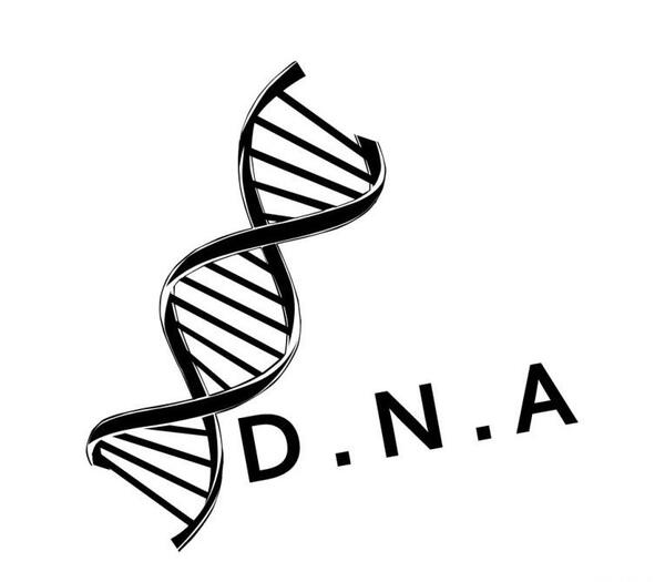 عکس های dna