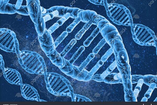 عکس های dna