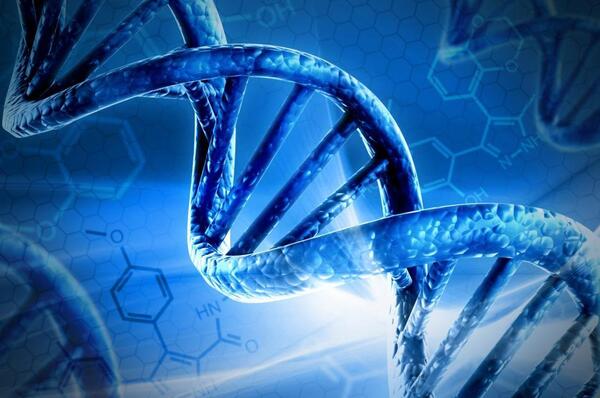 عکس های dna