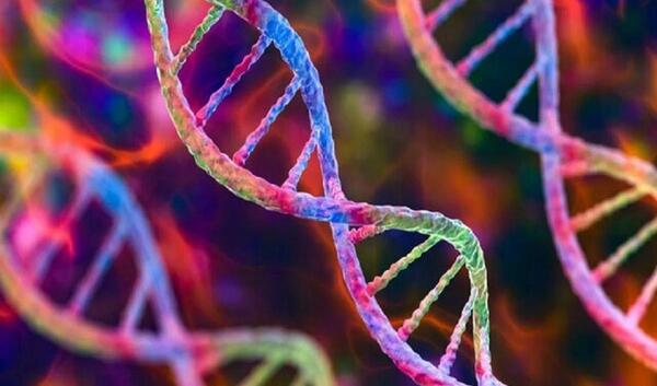 عکس های dna