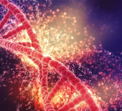 عکس های dna
