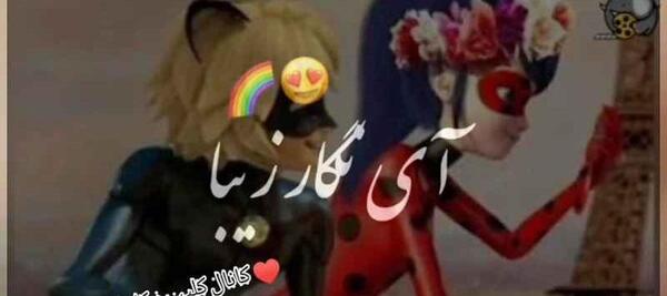 عکس نوشته دختر کفشدوزکی و گربه سیاه