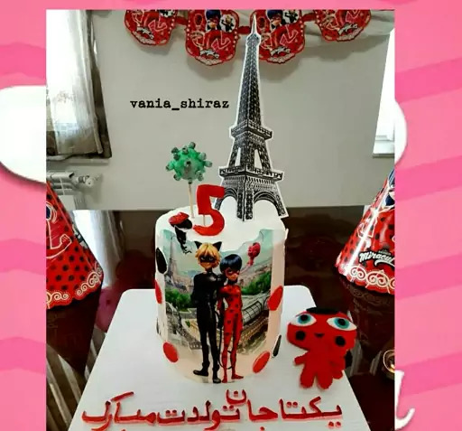 عکس کیک تولد دختر کفشدوزکی گربه سیاه