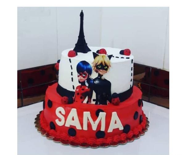 عکس کیک تولد دختر کفشدوزکی گربه سیاه
