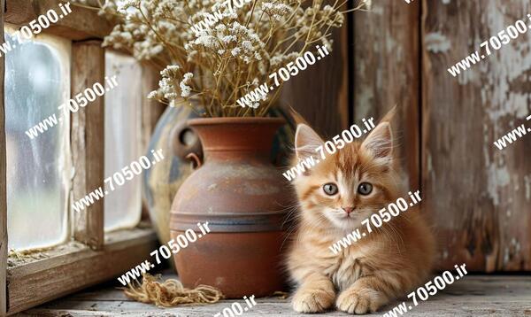 عکس کیوت گربه نقاشی