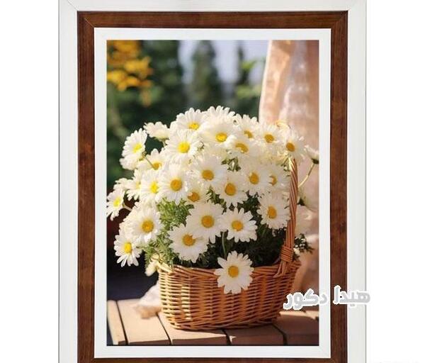 عکس کیوت گل بابونه