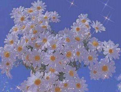 عکس کیوت گل بابونه