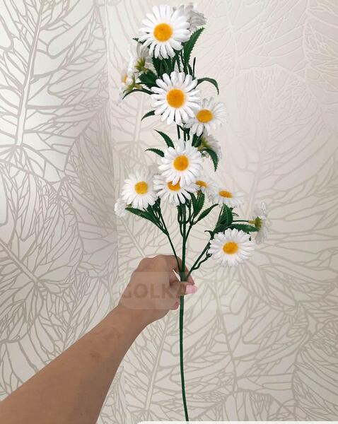 عکس کیوت گل بابونه