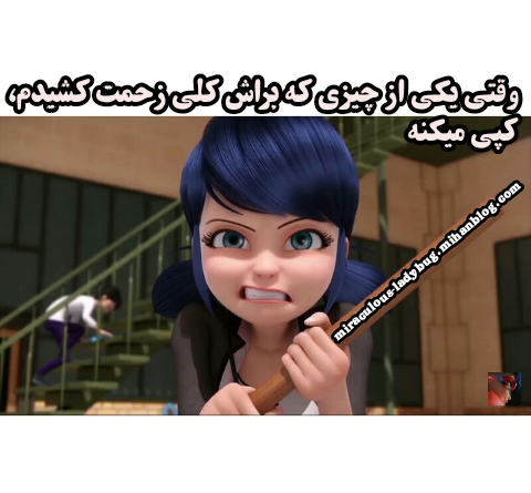 عکس کیوت از لیدی باگ