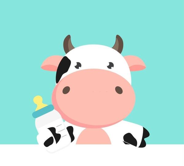 عکس گاو کیوت برای پروفایل
