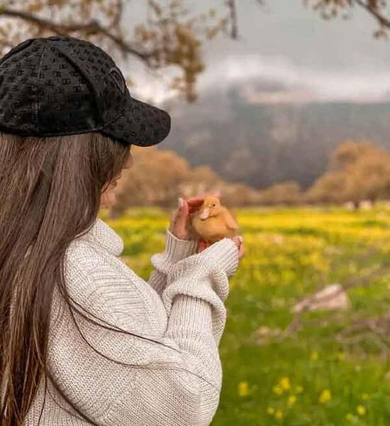 عکس کیوت و لاکچری