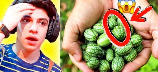 عکس کیوت میوه ها