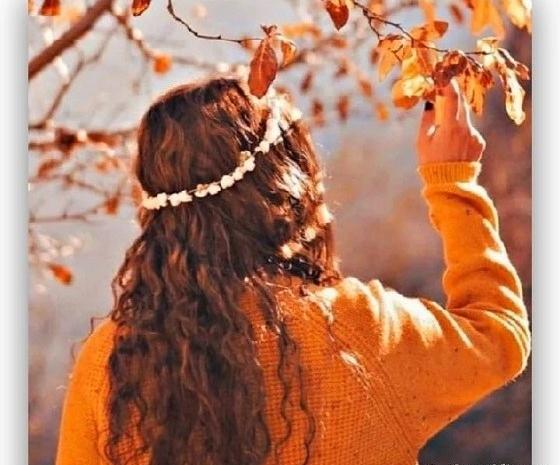 عکس های کیوت نارنجی