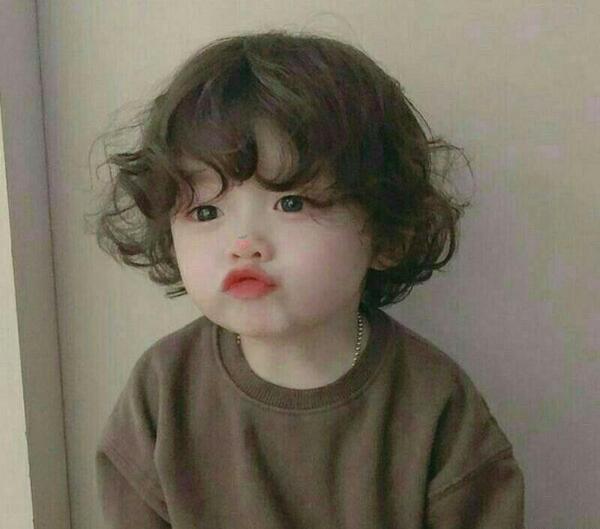 عکس کیوت ویسگون کره ای