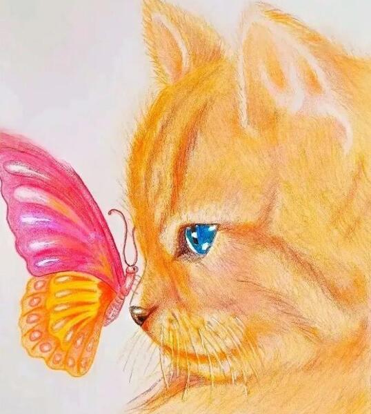 عکس گربه ی کیوت نقاشی
