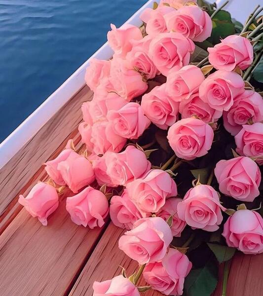 عکس گل های کیوت