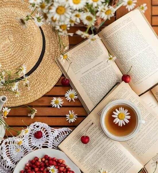عکس کیوت فانتزی کتاب