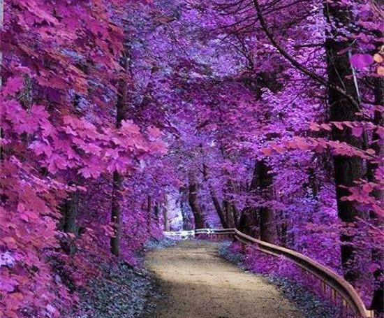 عکس های کیوت از طبیعت
