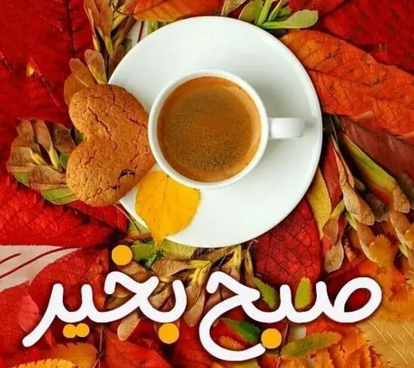 عکس کیوت برای صبح بخیر