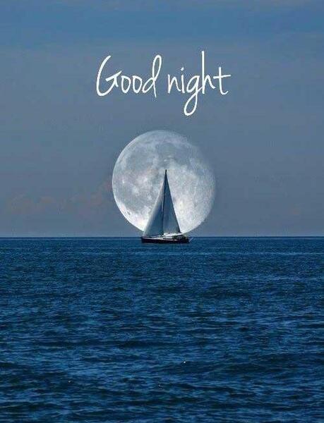 عکس کیوت در شب