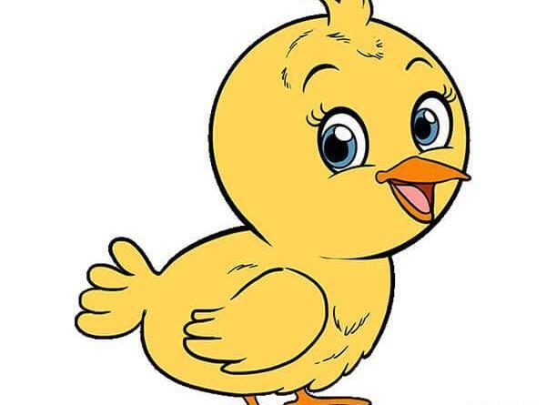 عکس جوجه کیوت فانتزی