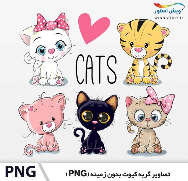 عکس پیشی کیوت سفید