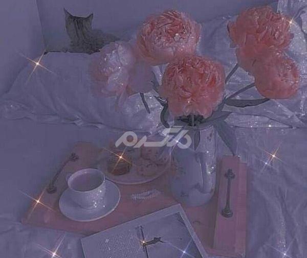 عکس کیوت و براق