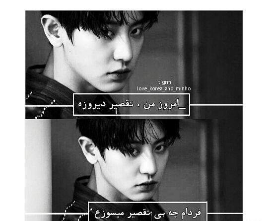 عکس کیوت شاخ کره ای