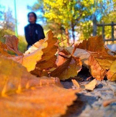 عکس پروف دخترونه پاییزی جدید