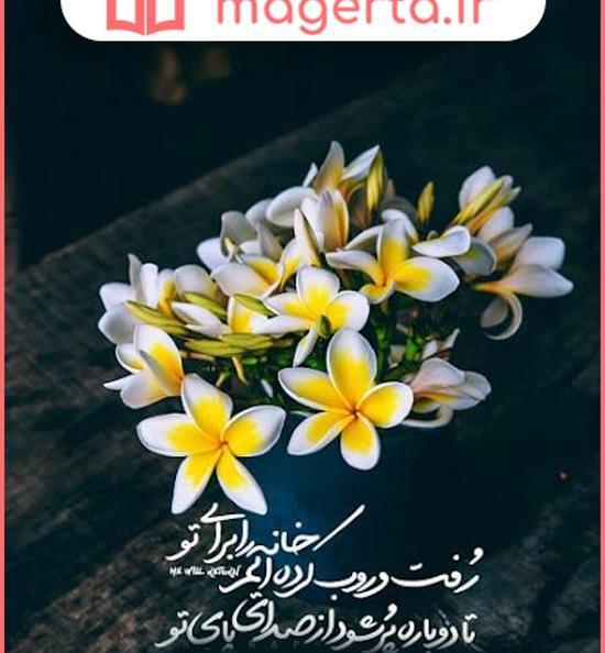 عکس پروف دخترونه گل نرگس