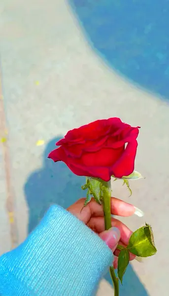 عکس پروف دخترونه گل به دست