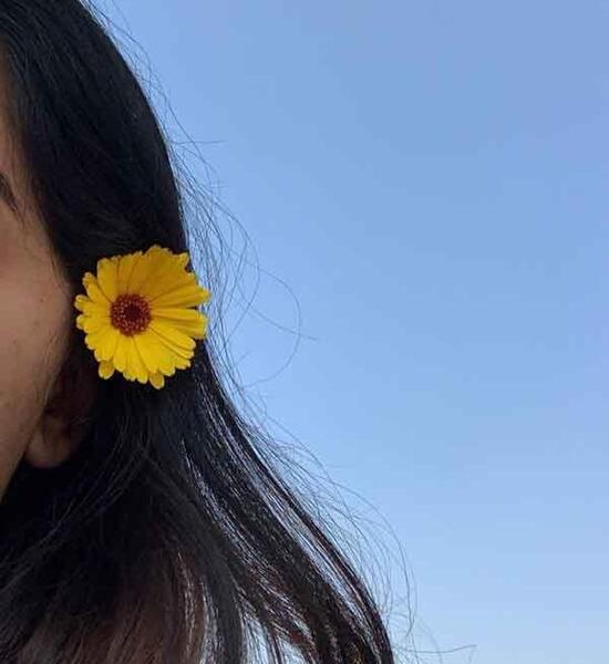 عکس پروف دخترونه گل آفتابگردان