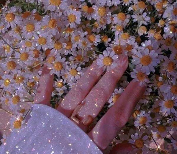 عکس پروف دخترونه گل بابونه