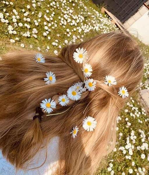 عکس پروف دخترونه گل بابونه