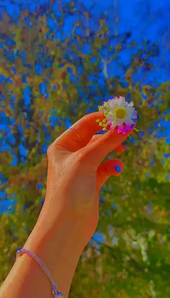 عکس پروف دخترونه گل بابونه