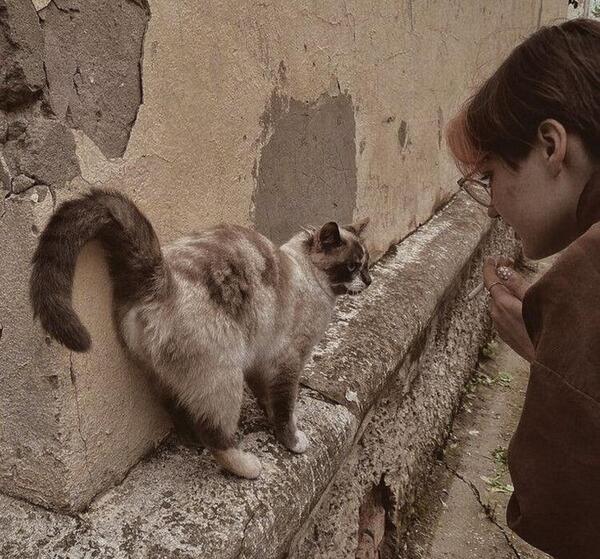 عکس پروف دخترونه گربه