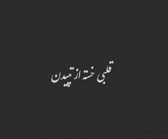 عکس پروف مرگ دخترونه ویسگون