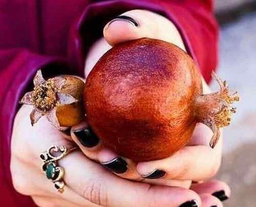عکس پروف شب یلدا دخترانه