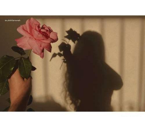 عکس پروف دخترونه برای واتساپ