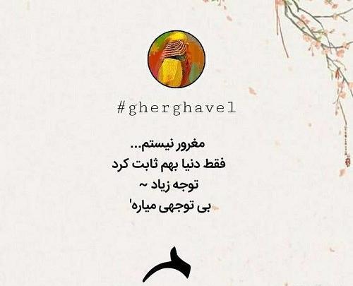 عکس پروف مغرور دخترونه ویسگون