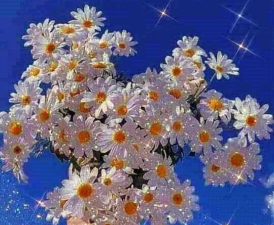 عکس پروف ویسگون گرانج دخترونه