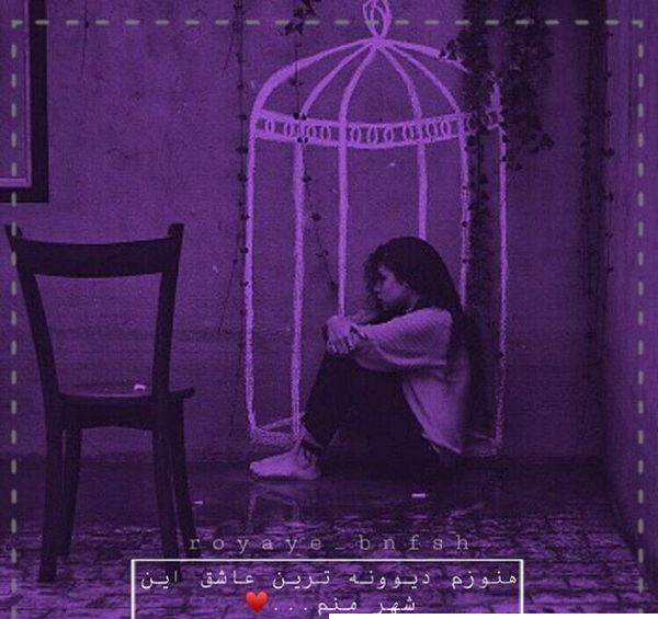 عکس پروف بنفش دخترانه