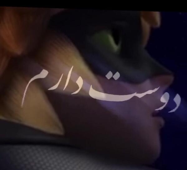 عکس عاشقانه مرینت و گربه سیاه