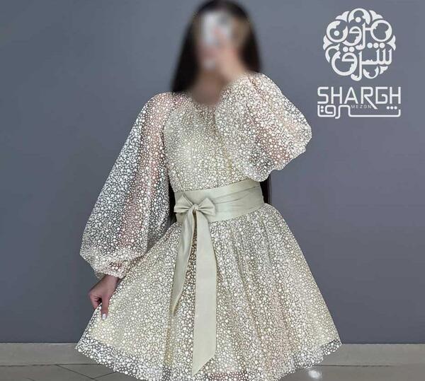 عکس خرید لباس مجلسی زنانه عروسکی