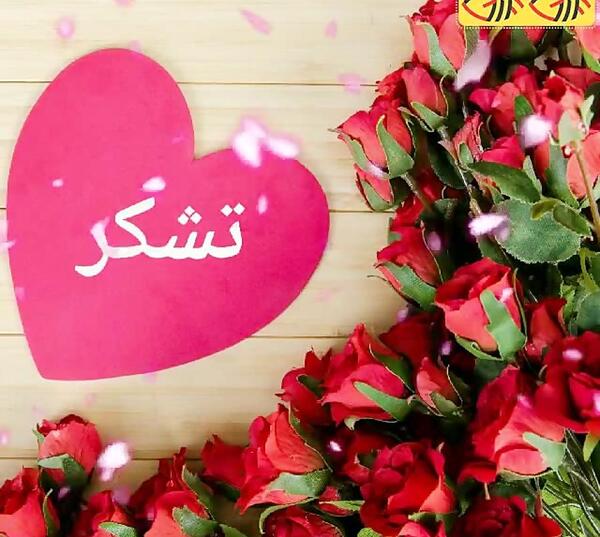 عکس متن زیبا برای تشکر از مدیر گروه واتساپ