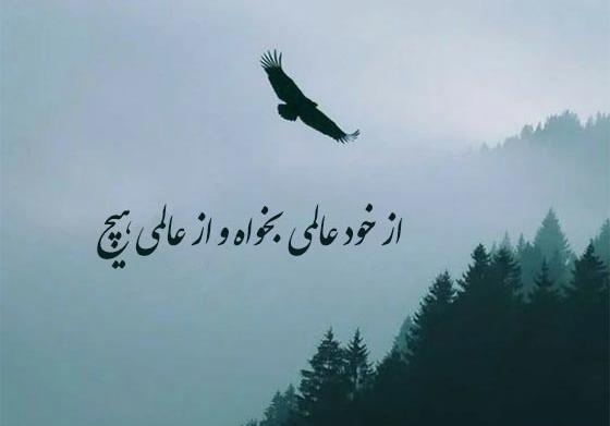 عکس متن کوتاه زیبا برای پروفایل واتساپ
