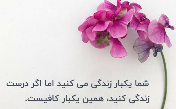 عکس متن زیبا کوتاه برای بیو واتساپ