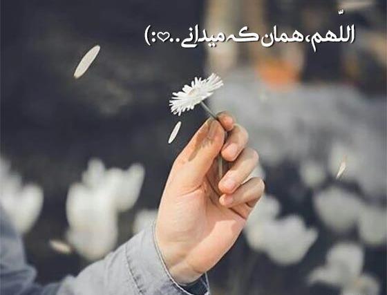 عکس متن زیبا برای بیو واتساپ عاشقانه